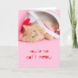 De katten miauwen de valentijn van de kitten feestdagen kaart