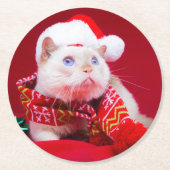 De katten Onderzetters uitproberen (Voorkant)