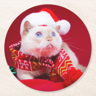 De katten Onderzetters uitproberen