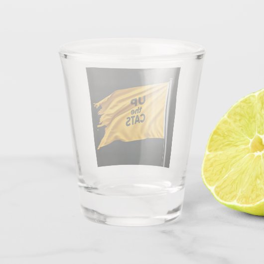 De katten schoten glas (Achterkant)