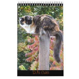 De Katten van DJ Één Pagina Kalender