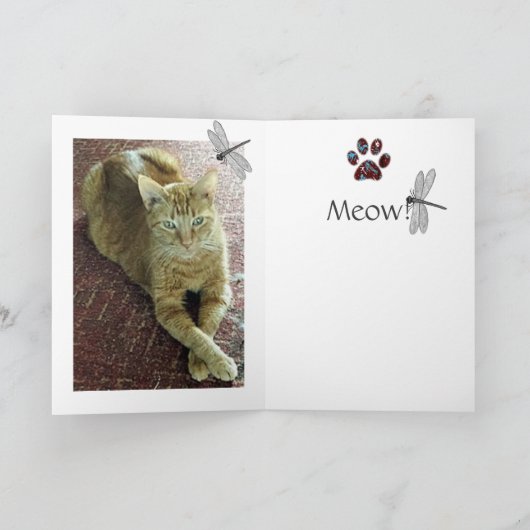 De Katten van het wenskaart Kaart (Binnen)