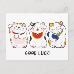 De Katten van maneki-Neko Briefkaart