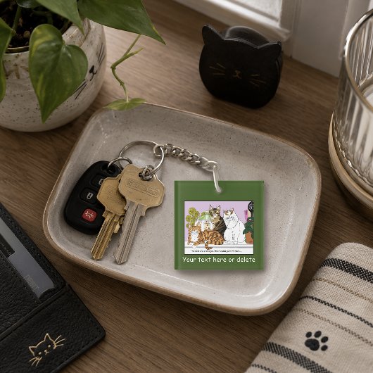 De katten zijn aan de macht sleutelhanger