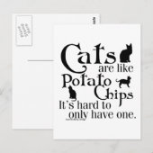 De katten zijn als chips… briefkaart (Voorkant / Achterkant)