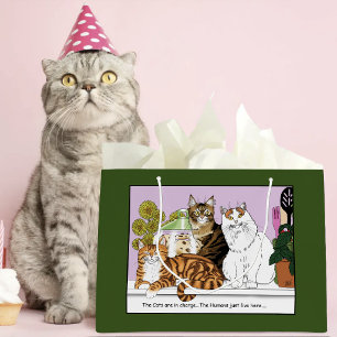 De katten zijn de baas groot cadeauzakje
