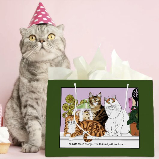 De katten zijn de baas groot cadeauzakje
