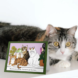 De katten zijn de baas kaart