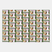 De katten zijn in functie inpakpapier vel (Voorkant 3)