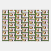De katten zijn in functie inpakpapier vel (Voorkant)
