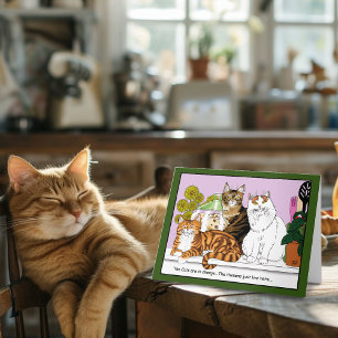 De katten zijn in functie kaart