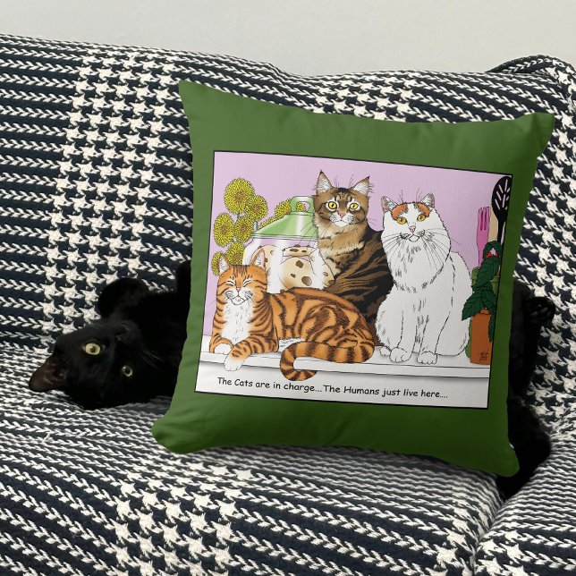 De katten zijn in functie kussen (Creator heeft geüpload)