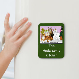 De katten zijn in functie magneet