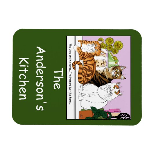 De katten zijn in functie magneet (Horizontaal)