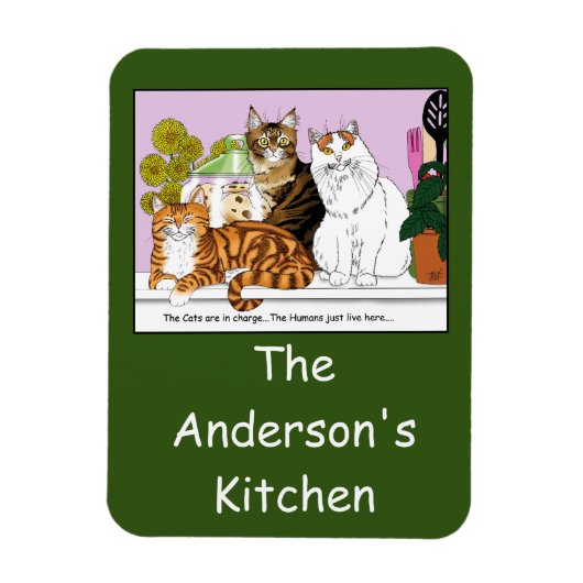 De katten zijn in functie magneet (Verticaal)