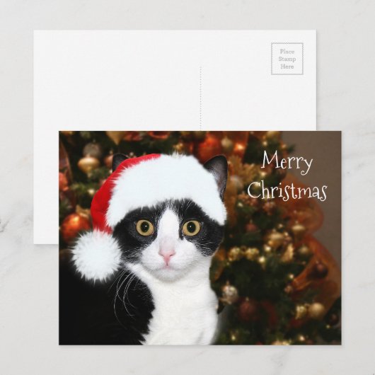 De kattenKerstmis van de smoking Feestdagenkaart (Voorkant / Achterkant)