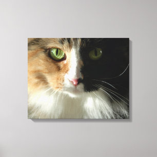 De kattenogen canvas afdruk