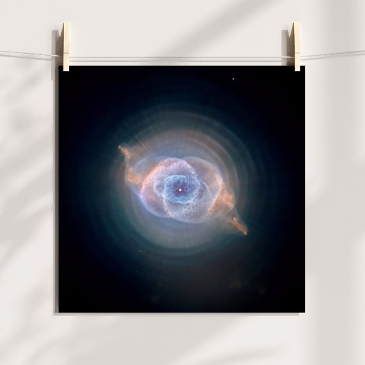 De kattenoognevel 12x12 poster