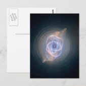 De kattenoognevel briefkaart (Voorkant / Achterkant)