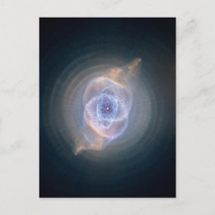 De kattenoognevel briefkaart