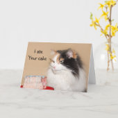 De kattenverjaardag van het calico kaart (Gele Bloem)