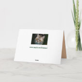 De kattenwenskaart van McGonagall Kaart (Achterkant)