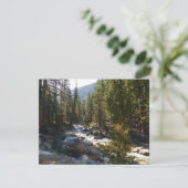 De Kaweah-rivier in het natuurpark Sequoia (Staand voorkant)