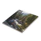 De Kaweah-rivier in het natuurpark Sequoia Tegeltje (Zijkant)