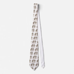 De keel en het tapijt (kijkglas) stropdas