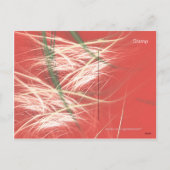 DE KEGELS VAN DE SNEEUW FEESTDAGENKAART (Achterkant)