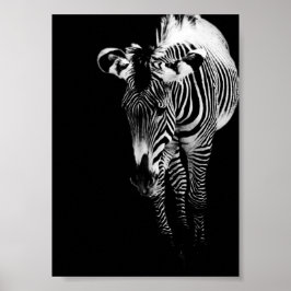 De Keizerlijke Eén Afdruk Poster