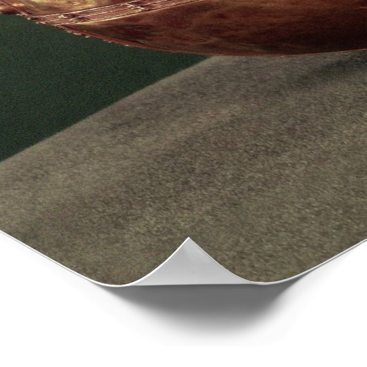 De keizerlijke orb van de Heilige Romeinse keizer Poster (Hoek)