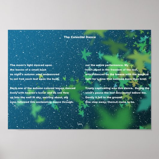 De Keltische Dance Poster (Voorkant)