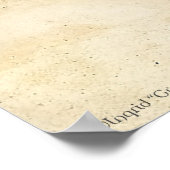 De Keltische Ferret Poster (Hoek)