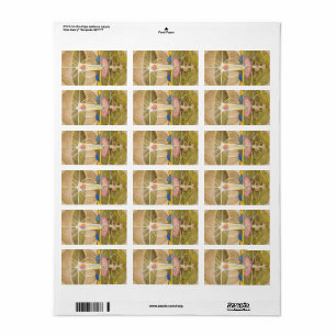 De Kennisboom van Hilma af Klint Etiket