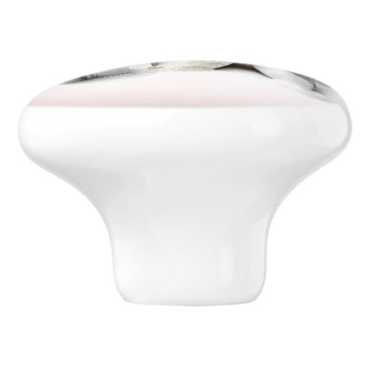 De keramische knop van de Baker (Zijkant)