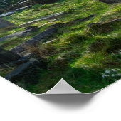 De kerk en begraafplaats van St Luke, Norland Poster (Hoek)