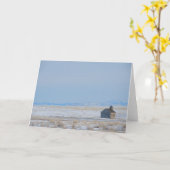 De Kerk Havre, Montana van Cottonwood Kaart (Gele Bloem)