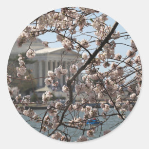 De Kersenbloesems in bloei in Washington DC Ronde Sticker