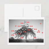 De Kersenboom Briefkaart (Voorkant / Achterkant)