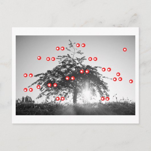 De Kersenboom Briefkaart (Voorkant)