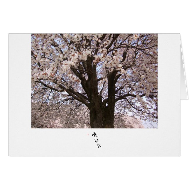De kersenboom in Japan 1 (Voorkant Horizontaal)