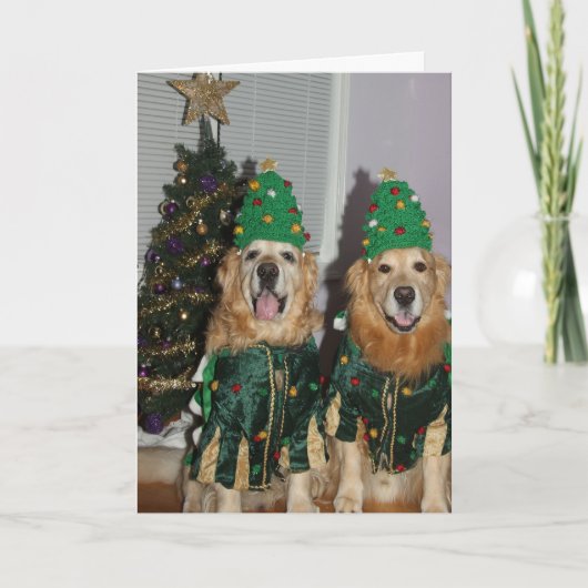 De Kerstbomen van het golden retriever Feestdagen Kaart (Voorkant)