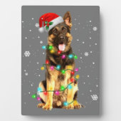 De kerstfeestelijke kerstfeestdagen van de herders fotoplaat (voorkant)