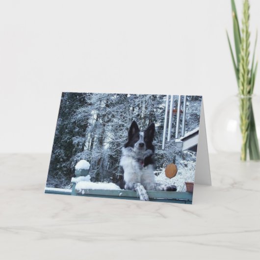 De Kerstkaart van border collie Feestdagen Kaart (Voorkant)