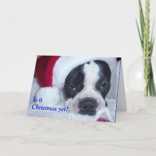 De Kerstkaart van Boston Terrier Feestdagen Kaart