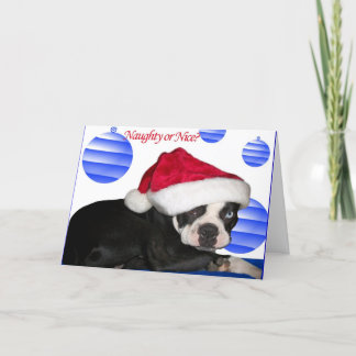 De Kerstkaart van Boston Terrier Feestdagen Kaart