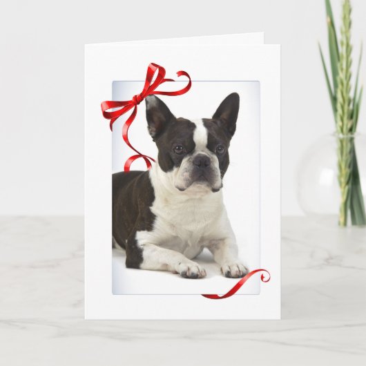 De Kerstkaart van Boston Terrier Feestdagen Kaart (Voorkant)