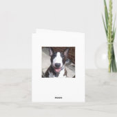 De Kerstkaart van bull terrier Feestdagen Kaart (Achterkant)