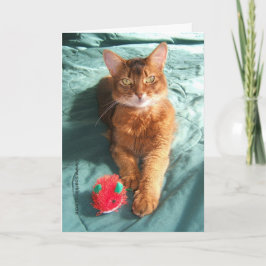 De Kerstkaart van Catmas van Mousey Feestdagen Kaart